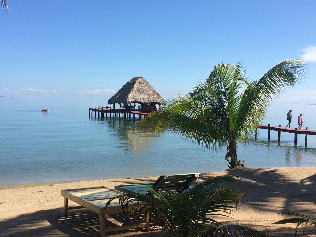 Robert'S Grove Beach Resort Placencia Extérieur photo